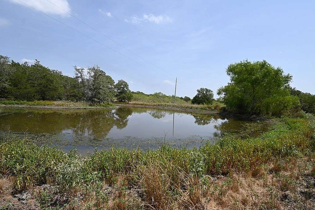 16 Acres of Recreational Land & Farm for Sale in Muldoon, Texas
