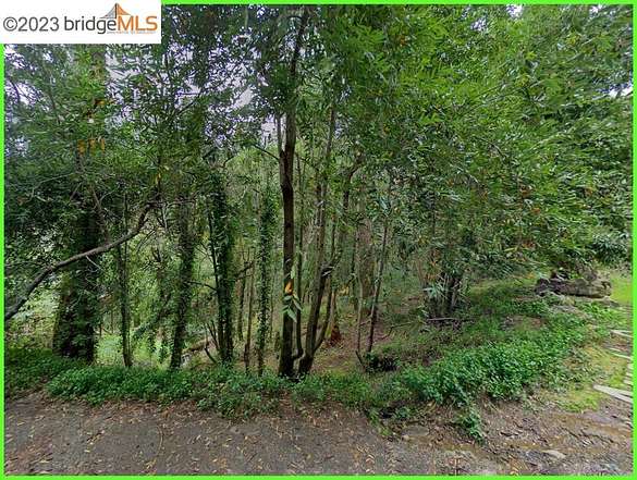0.18 Acres of Residential Land for Sale in Cazadero, California