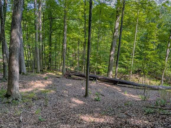 Brecksville Land For Sale