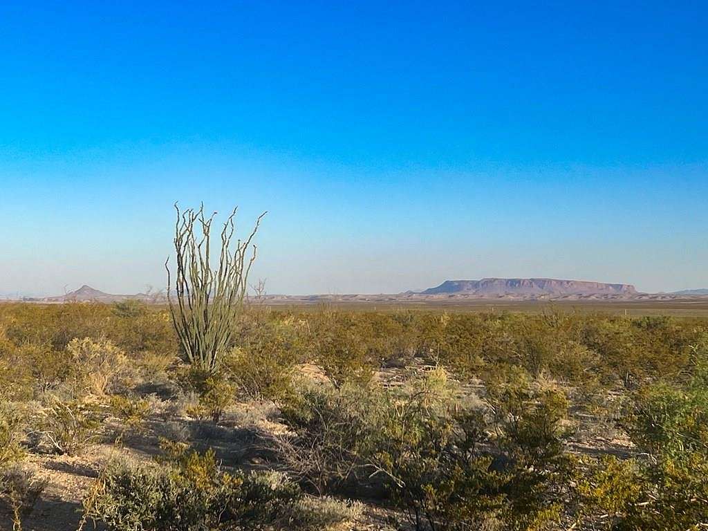 80.1 Acres of Recreational Land for Sale in Alpine, Texas