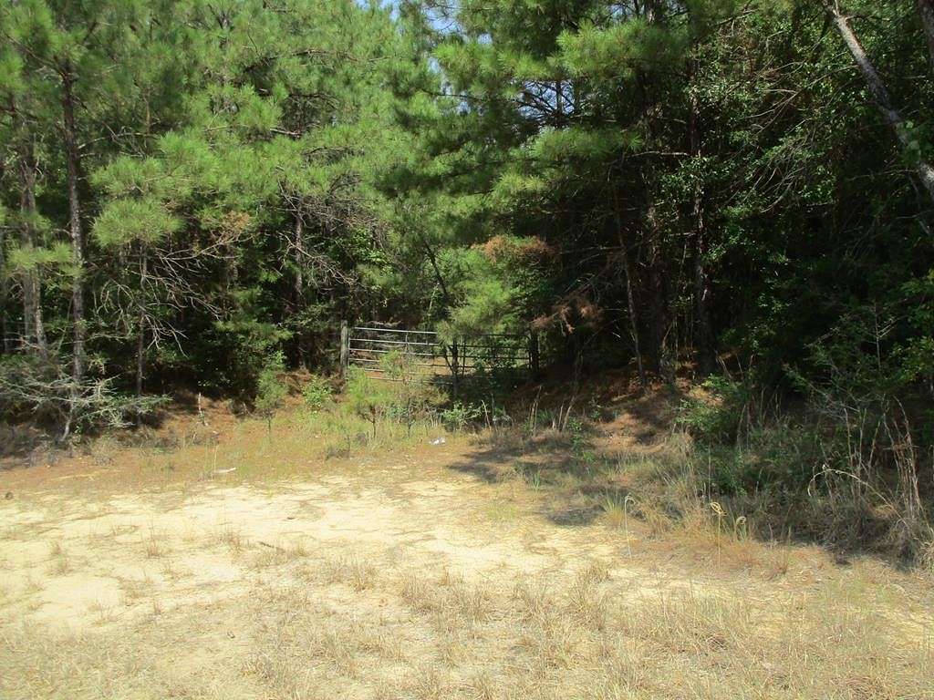 16.5 Acres of Land for Sale in Mount Hermon, Louisiana