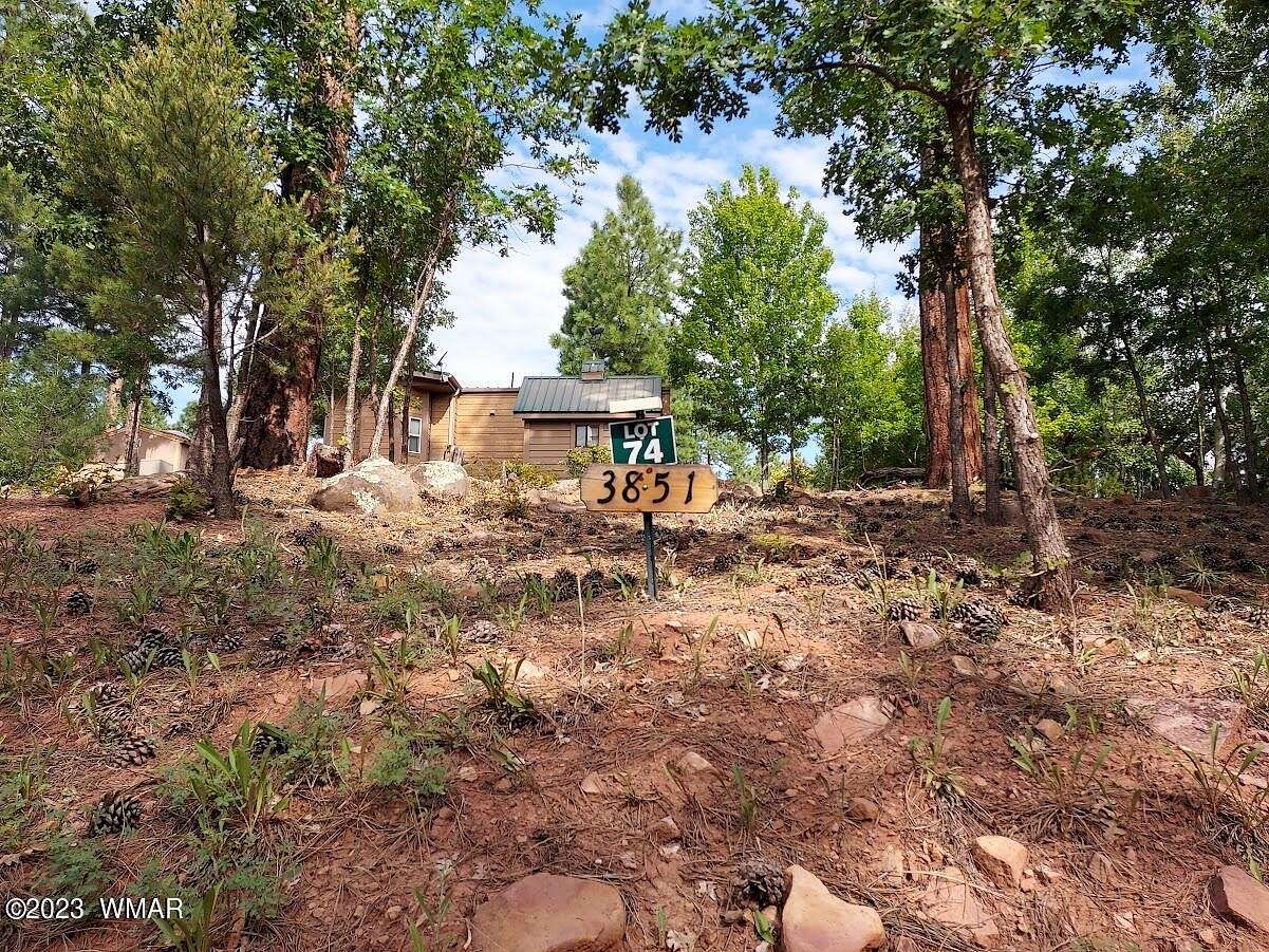 0.1 Acres of Residential Land for Sale in Show Low, Arizona