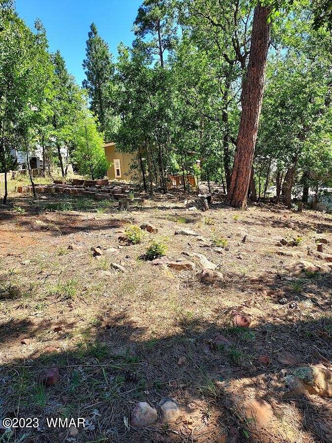 0.1 Acres of Residential Land for Sale in Show Low, Arizona