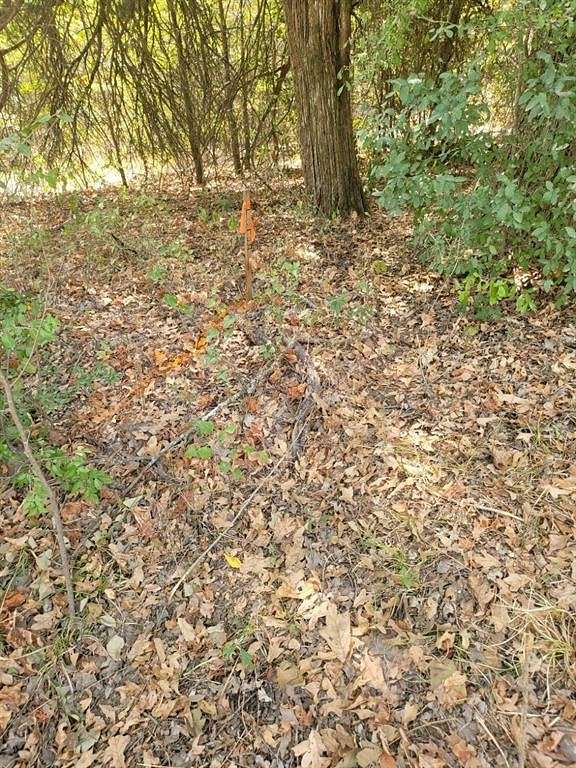 0.12 Acres of Residential Land for Sale in Trinidad, Texas