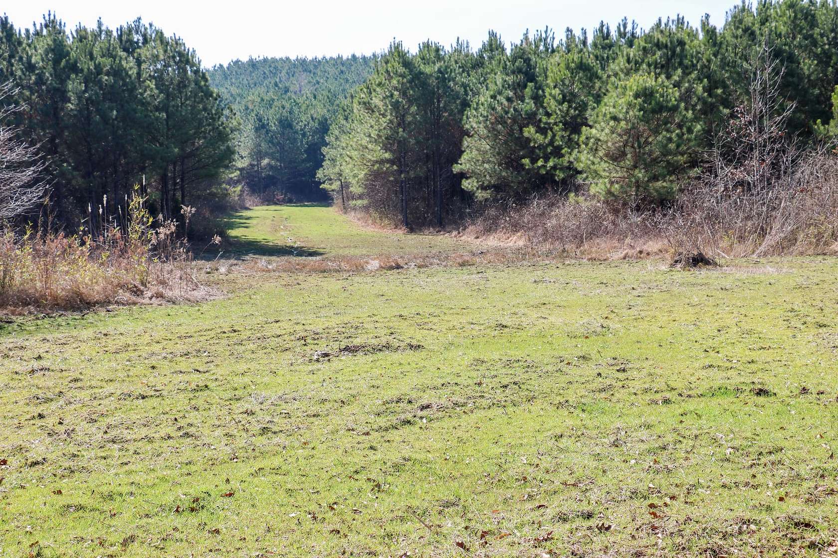 474 Acres of Recreational Land for Sale in Smithville, Mississippi