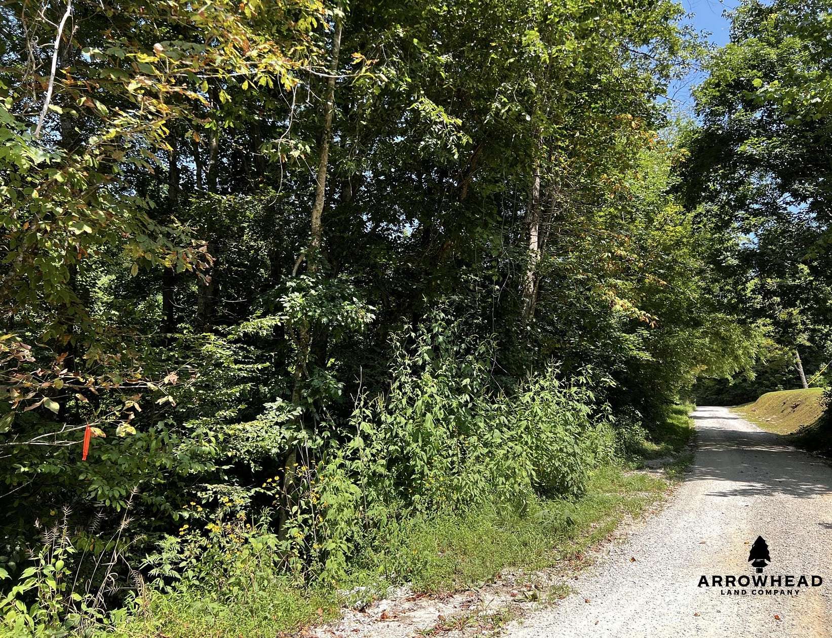 1 Acre of Residential Land for Sale in Oneida, Tennessee