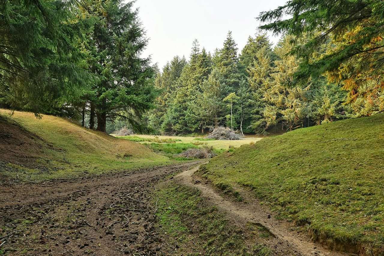 61 Acres of Land with Home for Sale in Langlois, Oregon