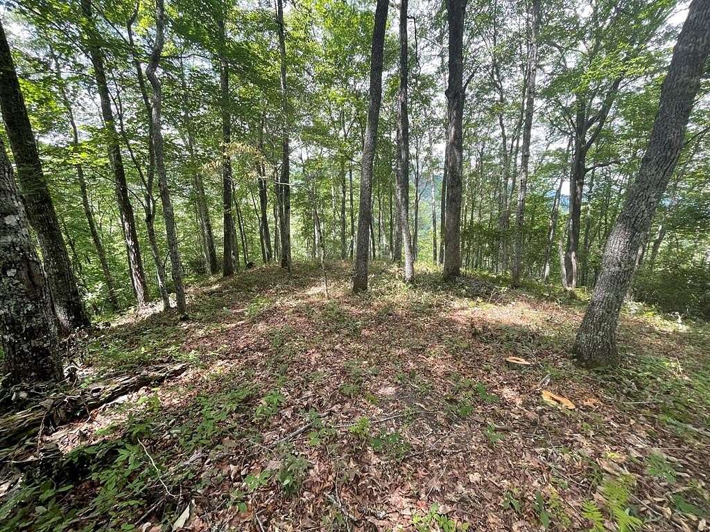 5.35 Acres of Residential Land for Sale in Tuckasegee, North Carolina