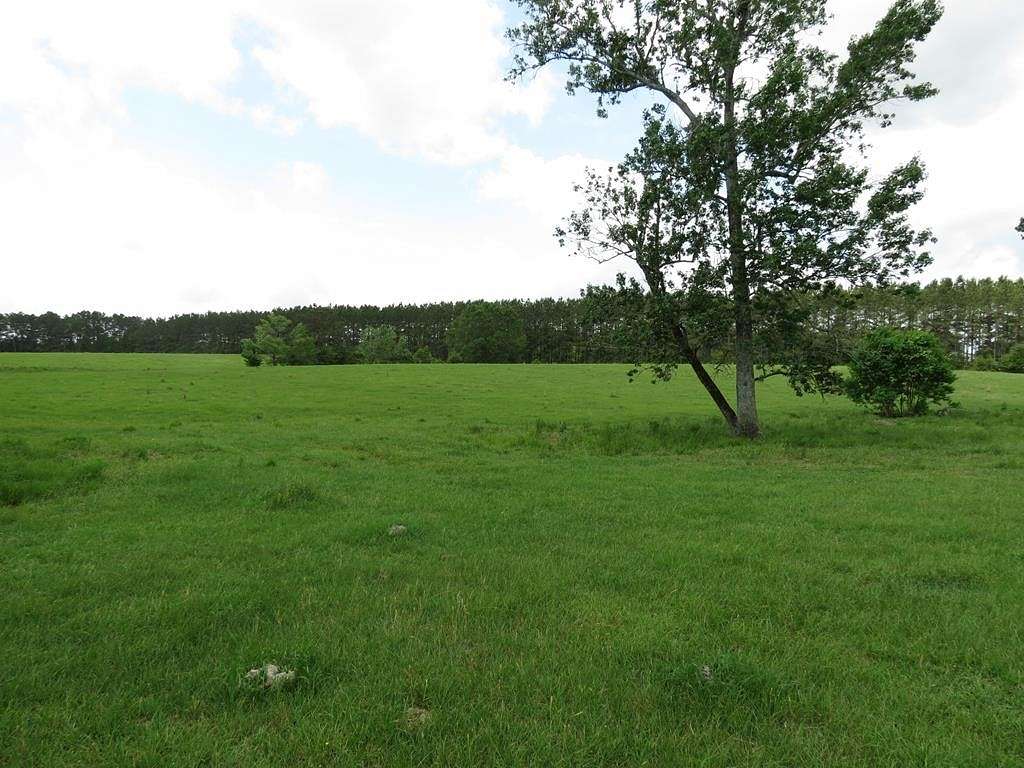 137 Acres of Land for Sale in Brookhaven, Mississippi