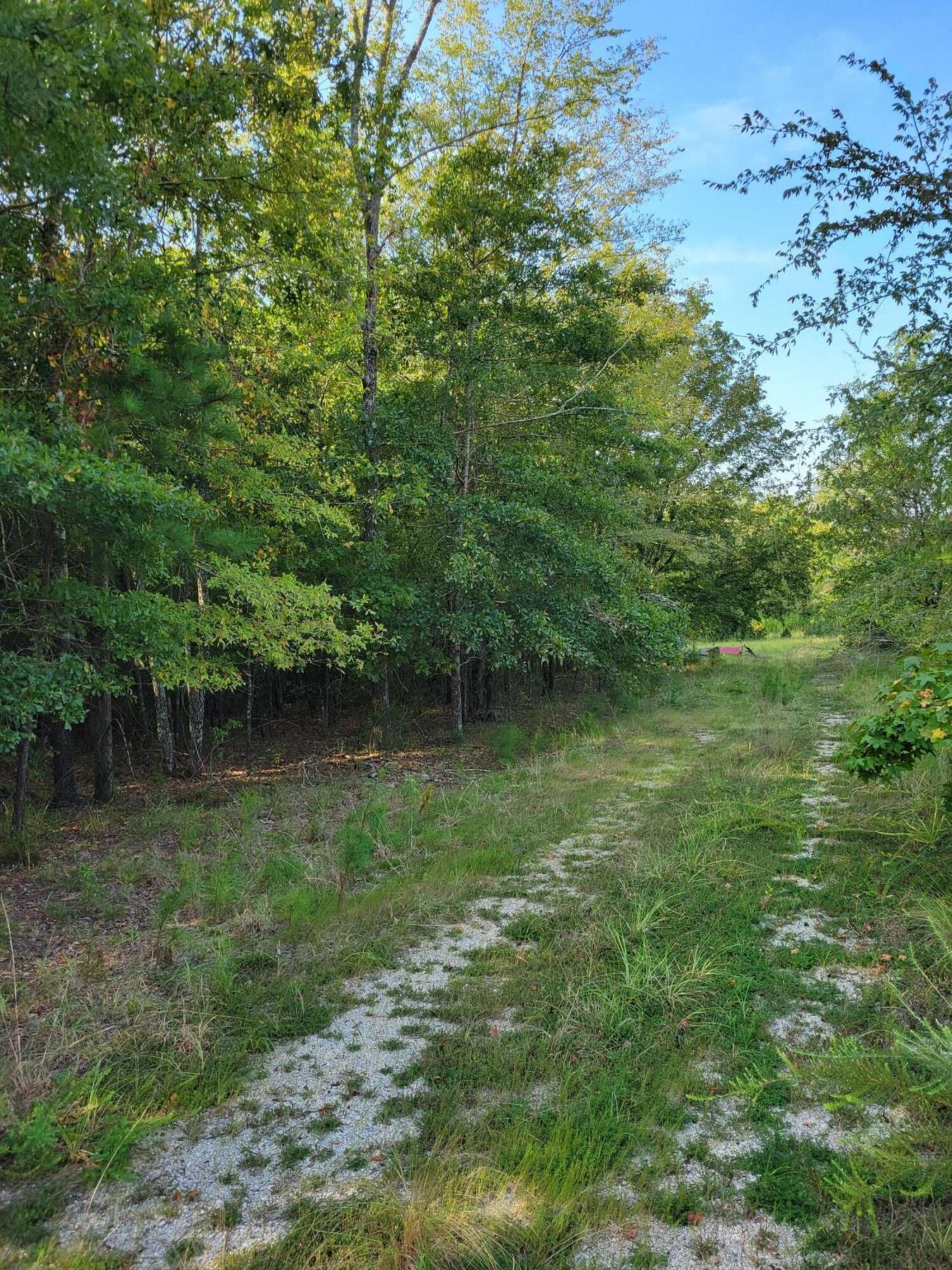 5 Acres of Residential Land for Sale in Evans, Georgia
