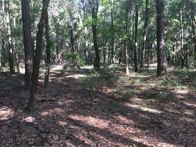 1.9 Acres of Land for Sale in Tallahassee, Florida