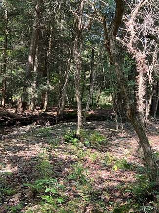 107 Acres of Land for Sale in Solon, New York