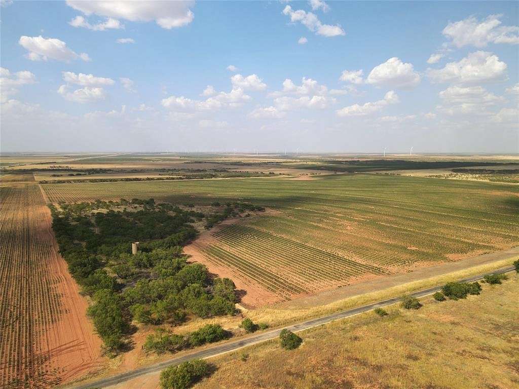 161 Acres of Agricultural Land for Sale in Haskell, Texas