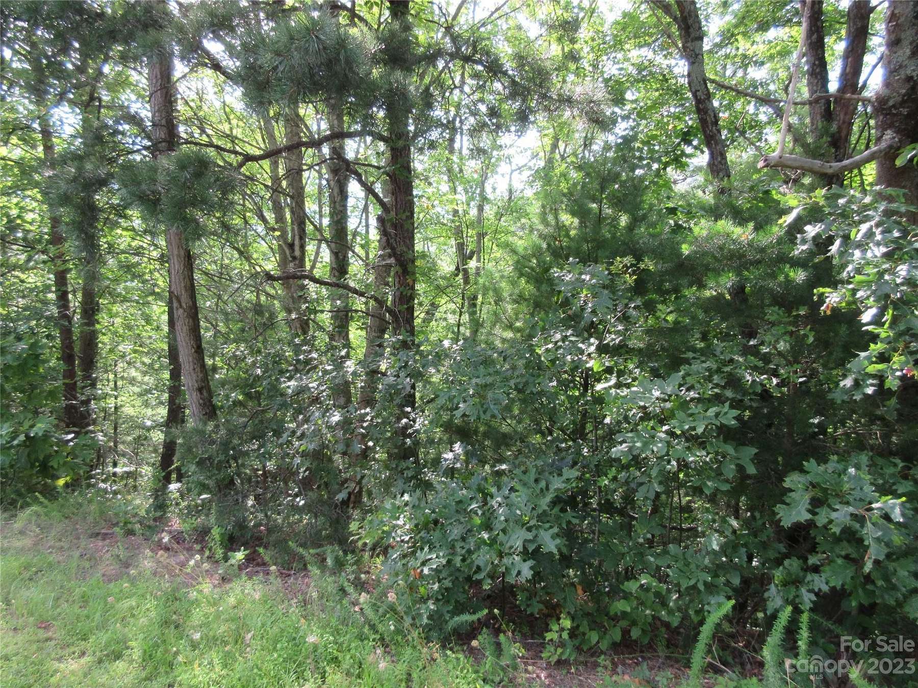 1 Acre of Residential Land for Sale in Marion, North Carolina