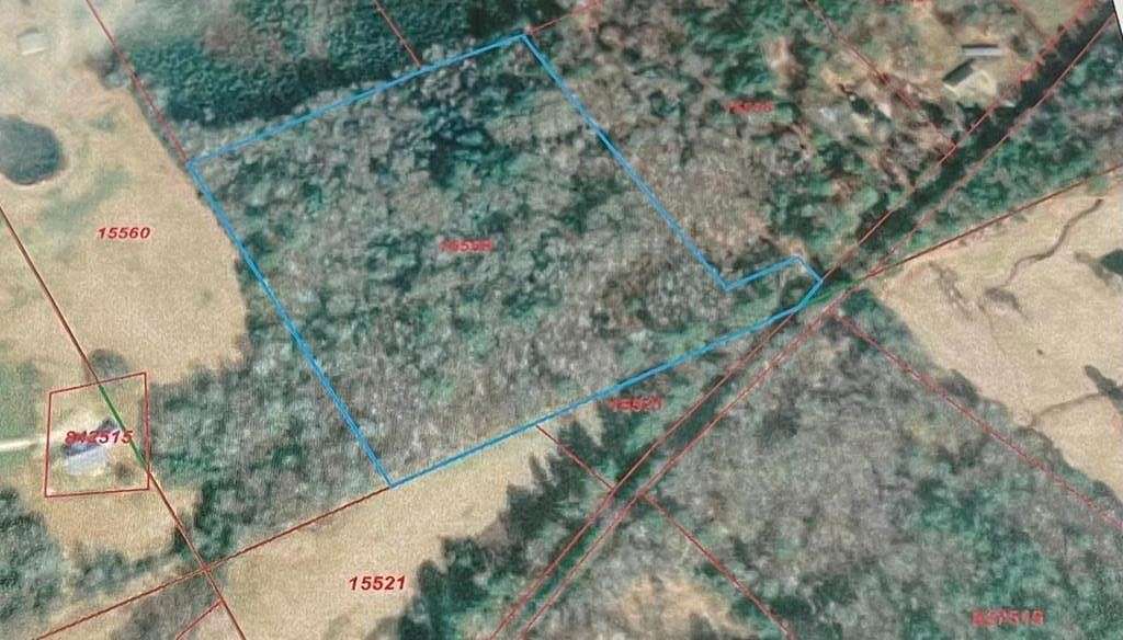 15.5 Acres of Recreational Land for Sale in Elkhart, Texas