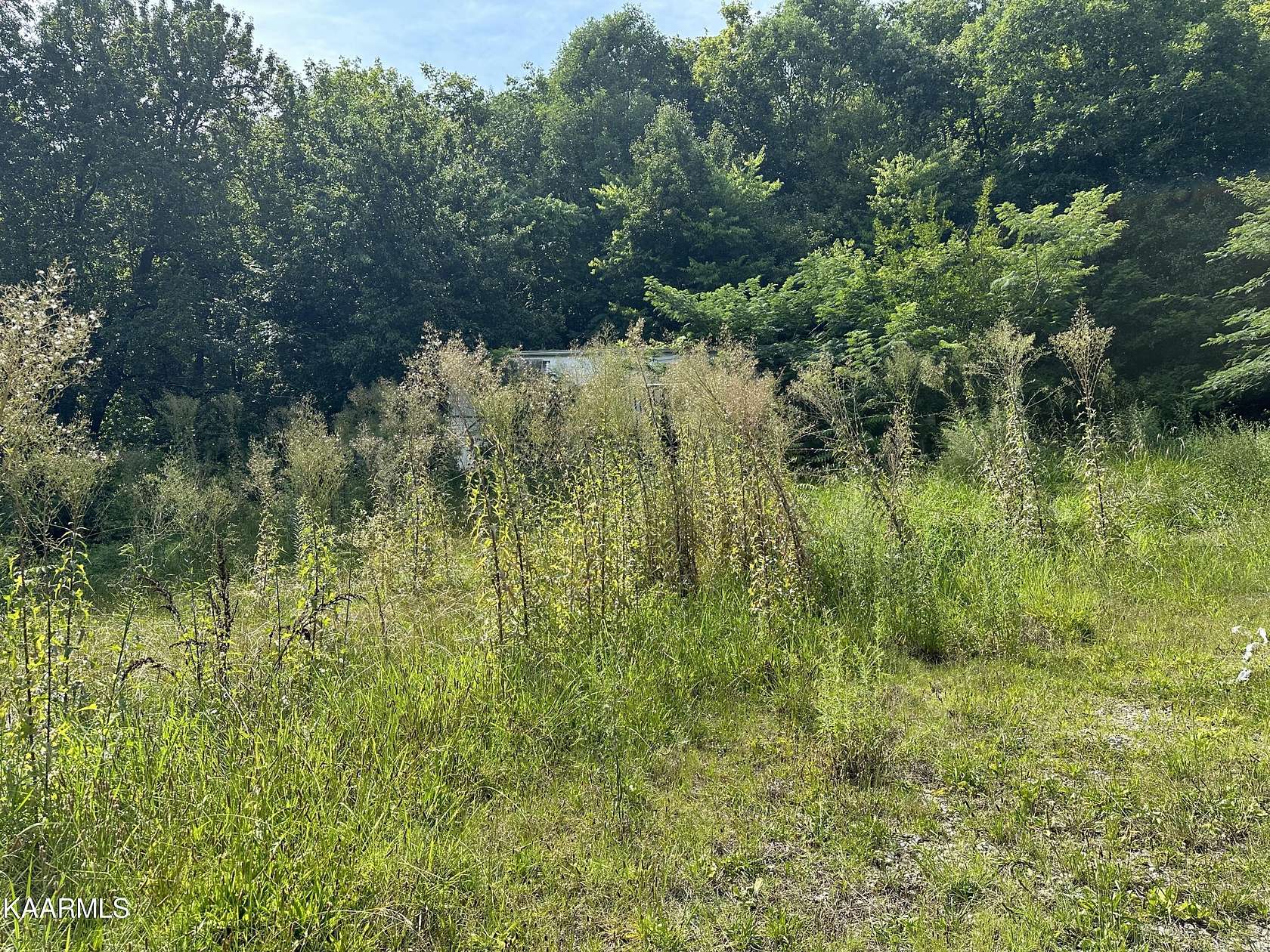 0.16 Acres of Residential Land for Sale in Knoxville, Tennessee