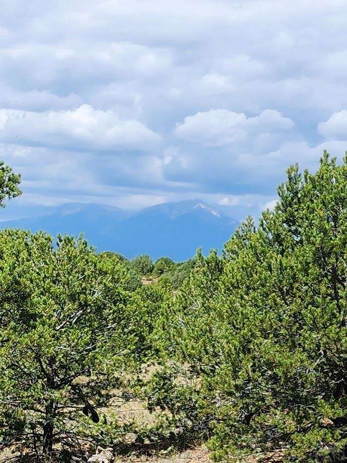 44.1 Acres of Land for Sale in Aguilar, Colorado