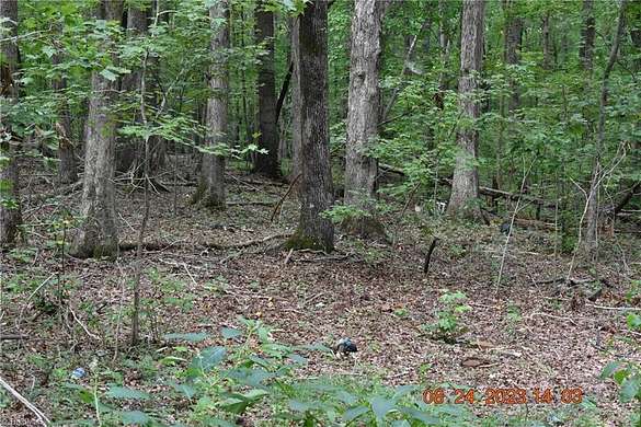 3.1 Acres of Land for Sale in Greensboro, North Carolina