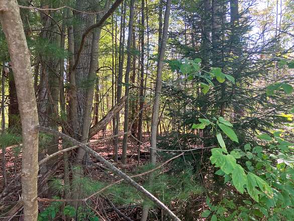 0.6 Acres of Residential Land for Sale in Interlochen, Michigan