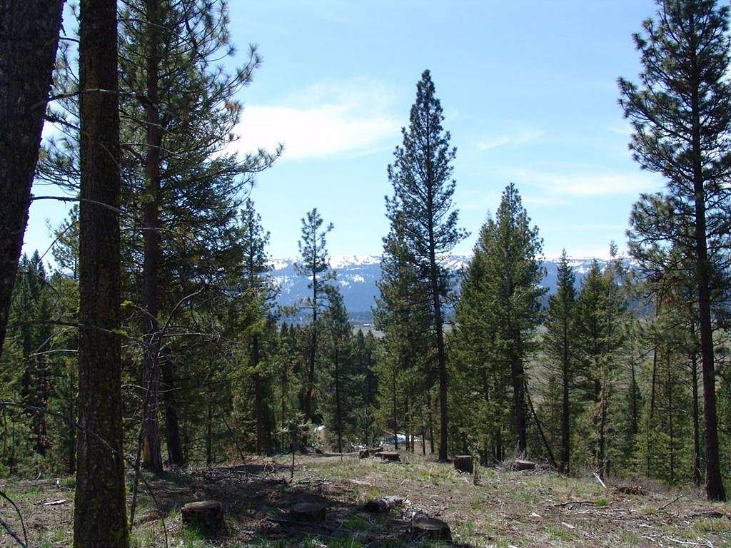 1.8 Acres of Residential Land for Sale in Cascade, Idaho
