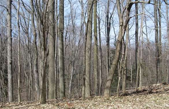 3.6 Acres of Residential Land for Sale in Erie, Pennsylvania