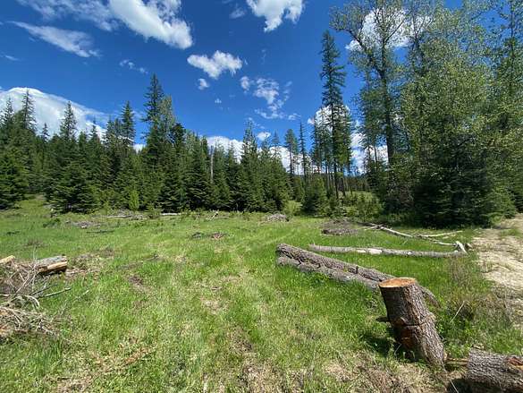 22 Acres of Improved Land for Sale in Priest River, Idaho