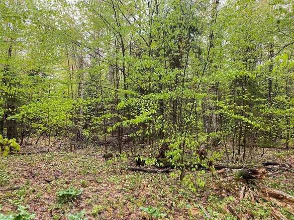 0.64 Acres of Land for Sale in Paradise, Michigan