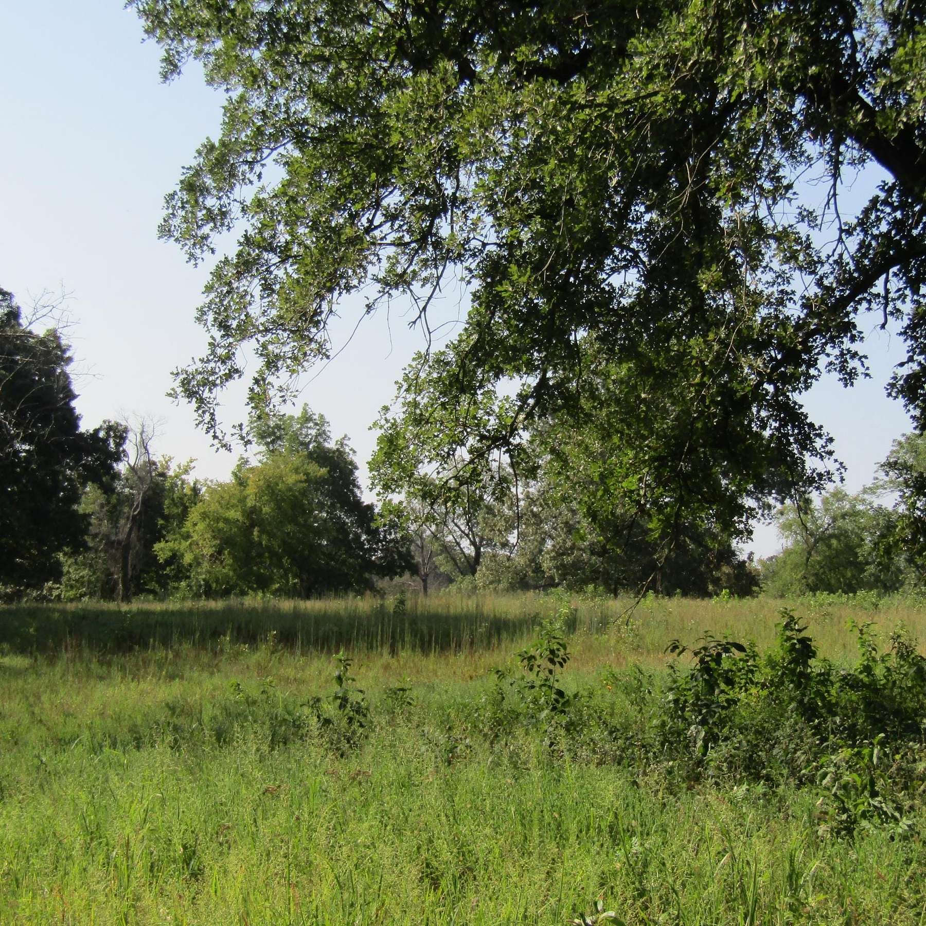 12 Acres of Recreational Land for Sale in Hugo, Oklahoma