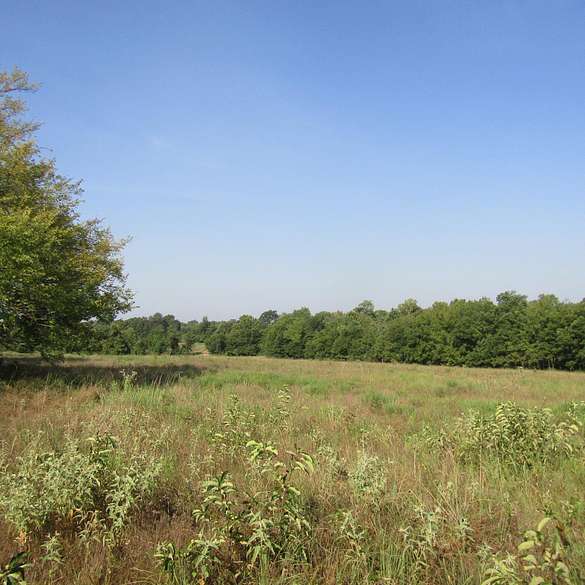 34 Acres of Recreational Land for Sale in Hugo, Oklahoma