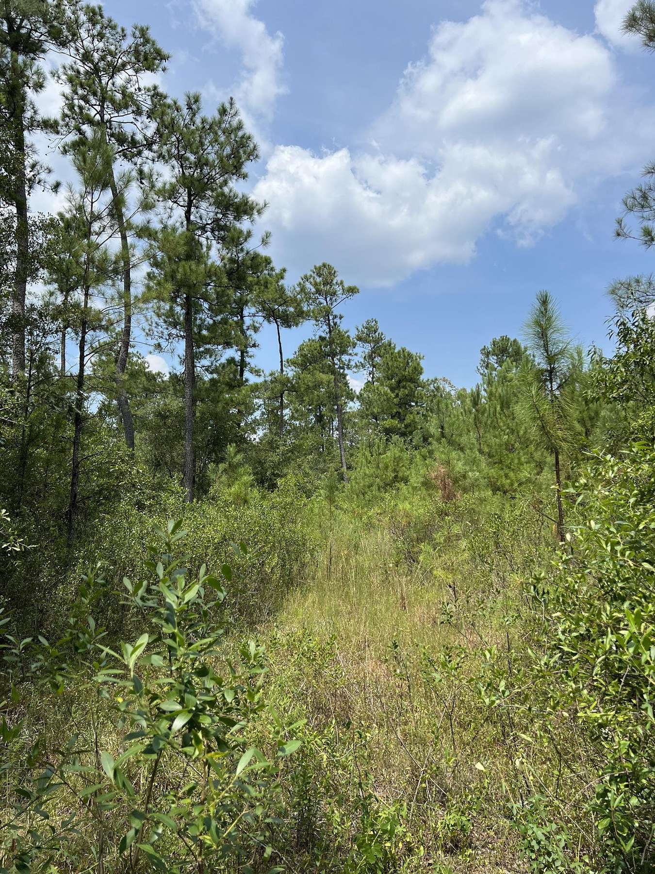 10.3 Acres of Land for Sale in Perdido, Alabama