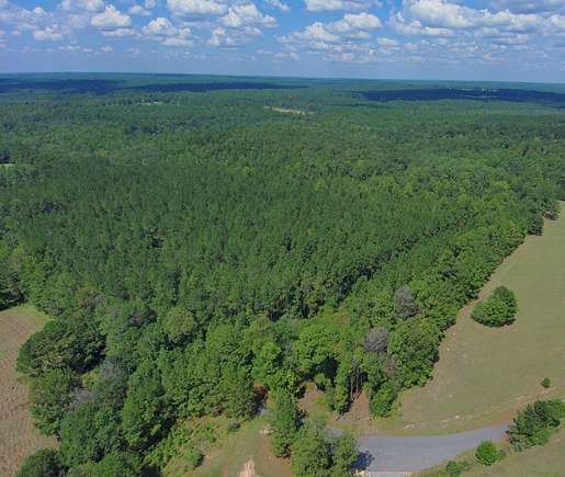 10.31 Acres of Land with Home for Sale in Perdido, Alabama