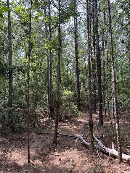 9.6 Acres of Land for Sale in Perdido, Alabama