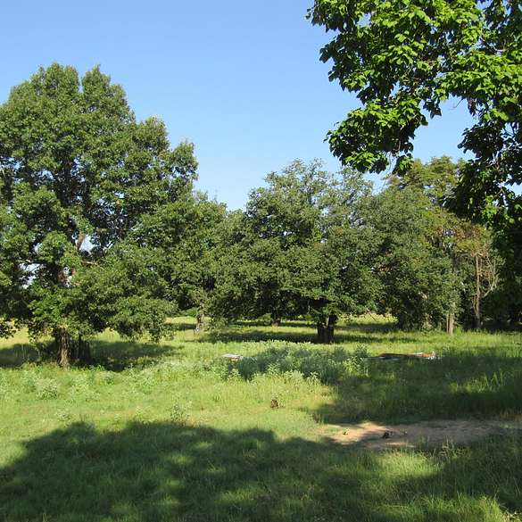 30 Acres of Recreational Land for Sale in Hugo, Oklahoma