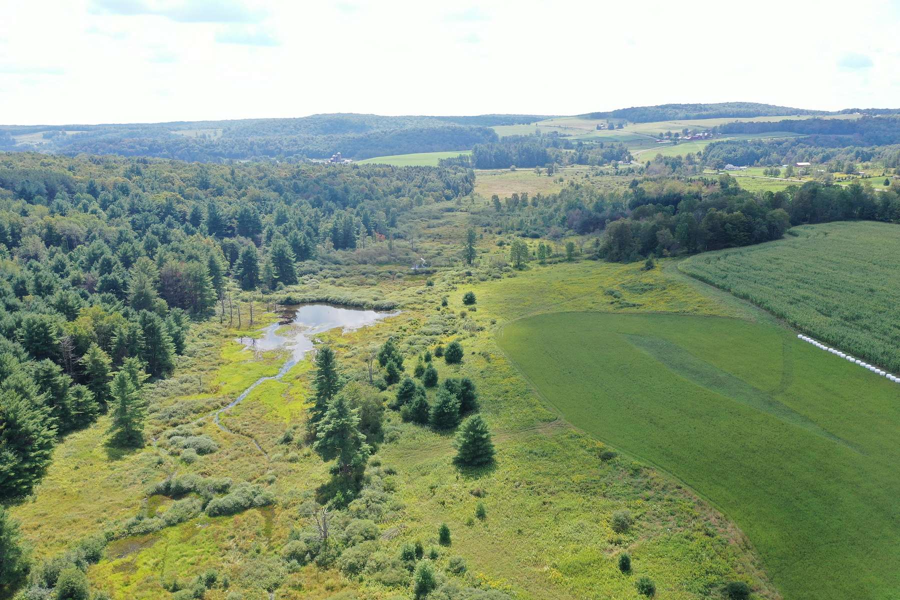 109 Acres of Land for Sale in Smithville Flats, New York