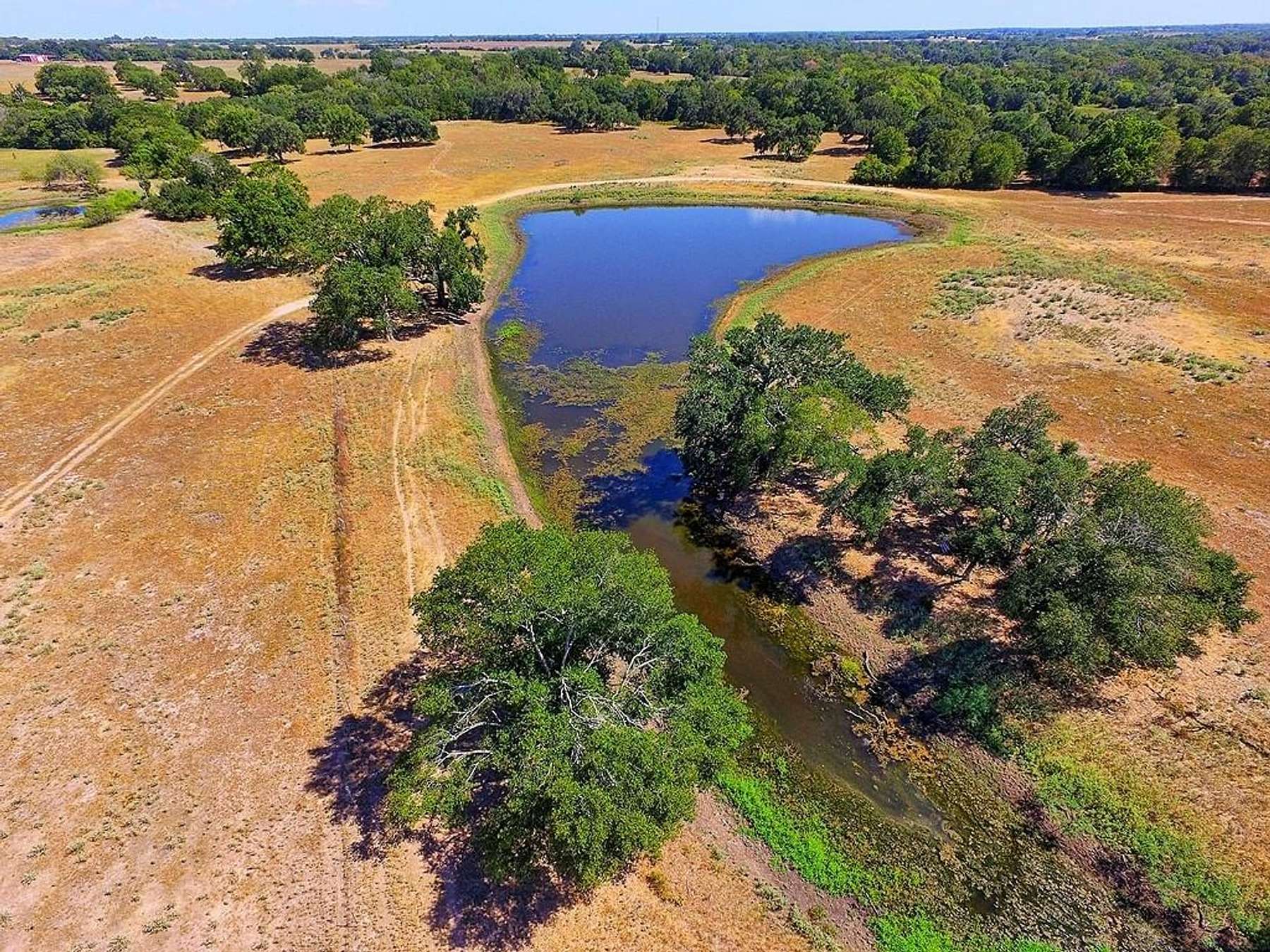 58 Acres of Recreational Land for Sale in Weimar, Texas
