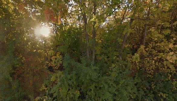 0.28 Acres of Residential Land for Sale in Waukegan, Illinois