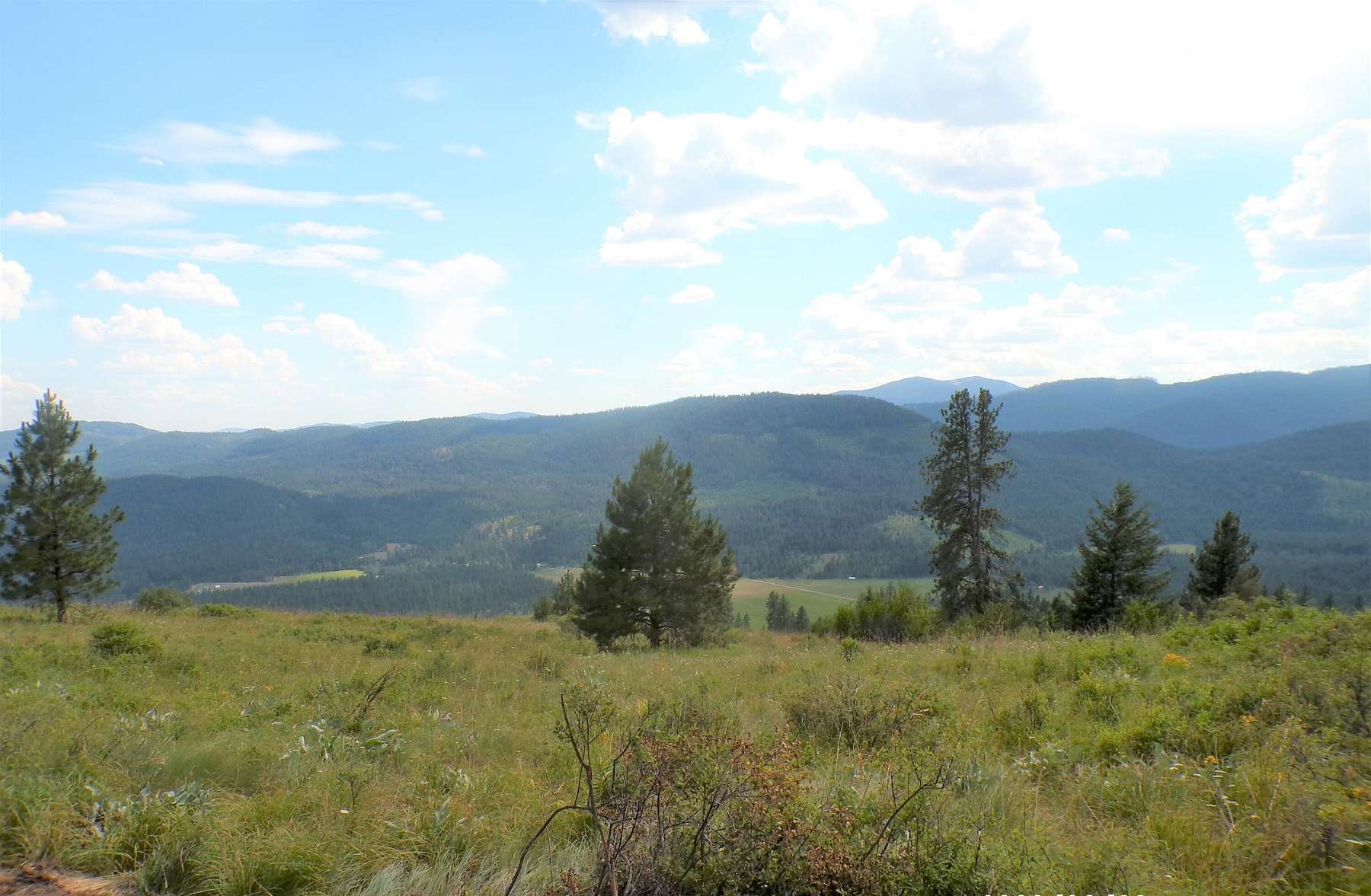 20 Acres of Recreational Land for Sale in Inchelium, Washington