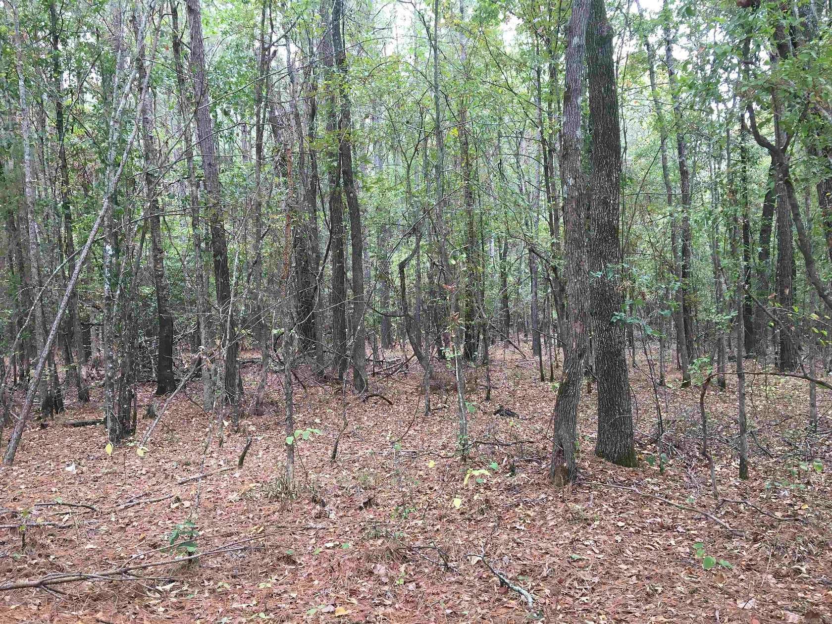 40 Acres of Recreational Land for Sale in Pine Bluff, Arkansas