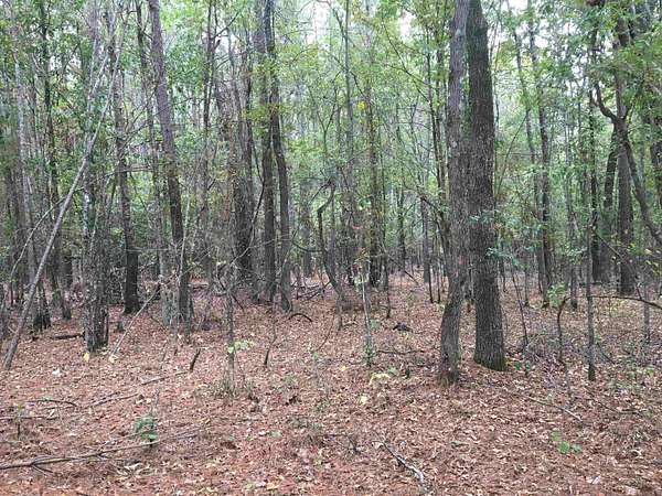 40 Acres of Recreational Land for Sale in Pine Bluff, Arkansas