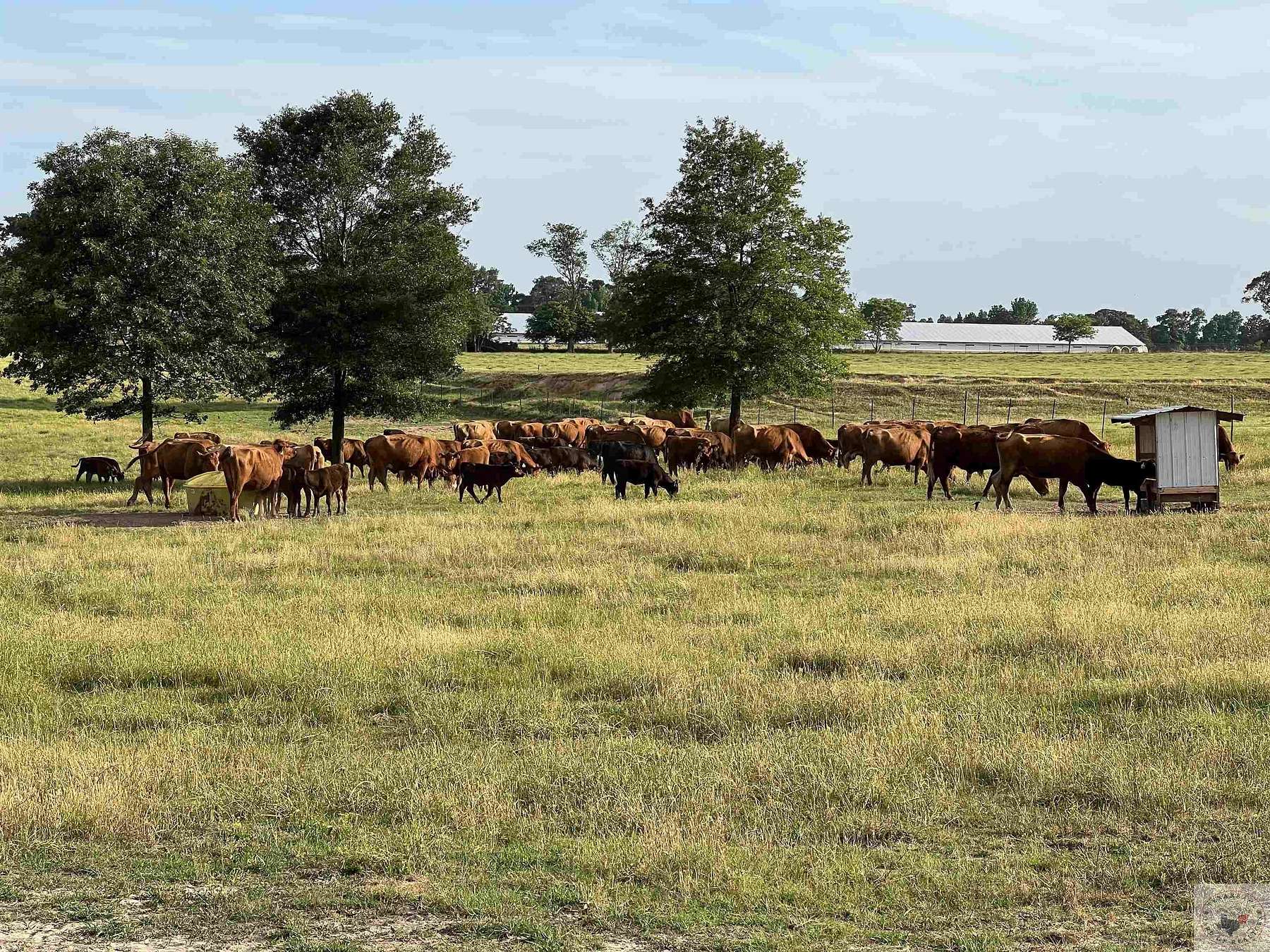 77.8 Acres of Land for Sale in Fouke, Arkansas