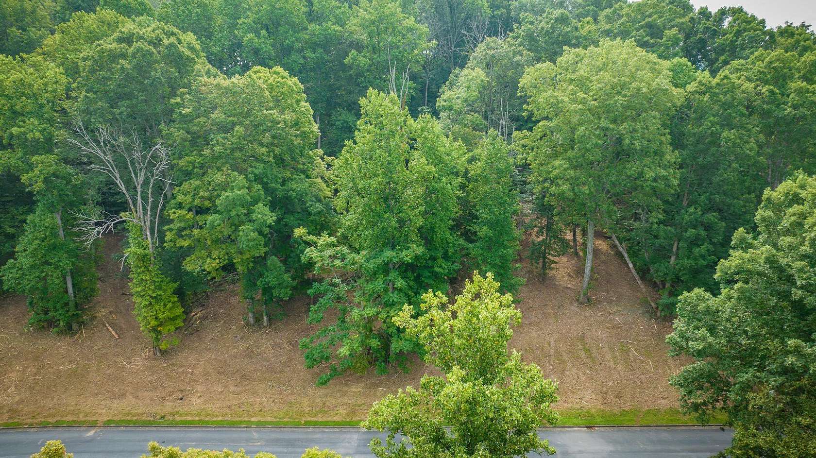 1.13 Acres of Residential Land for Sale in Chuckey, Tennessee