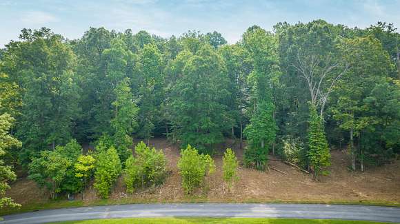 1 Acre of Residential Land for Sale in Chuckey, Tennessee