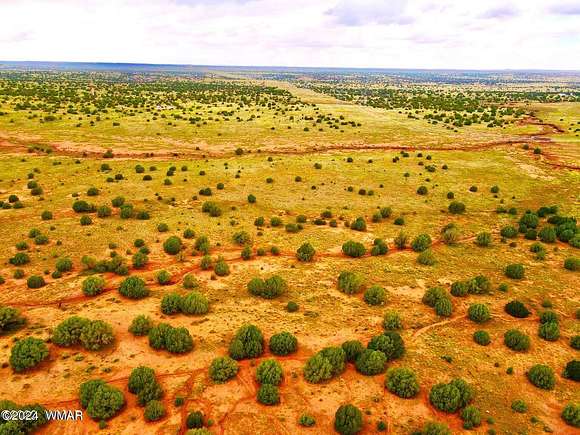 39.98 Acres of Land for Sale in Concho, Arizona