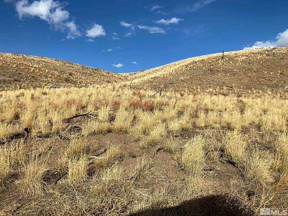 680 Acres of Recreational Land & Farm for Sale in Gardnerville, Nevada