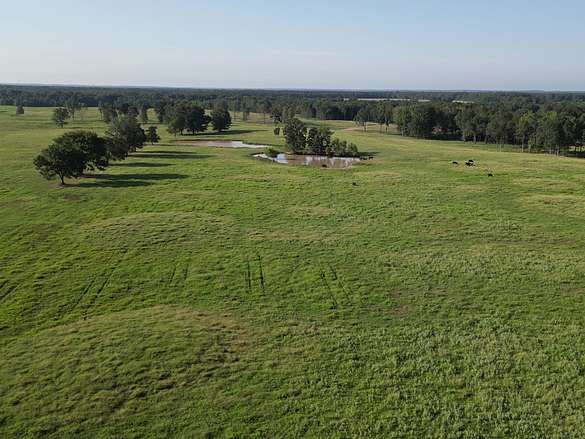 1,100 Acres of Agricultural Land for Sale in Simms, Texas