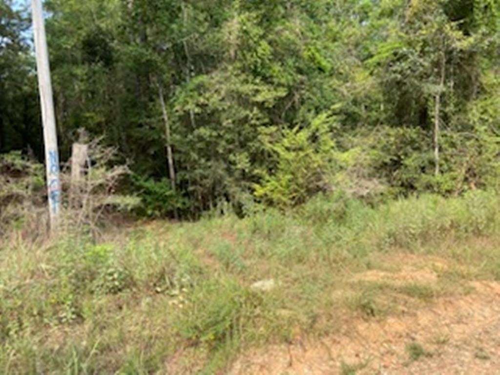 16 Acres of Land for Sale in Wilmer, Alabama