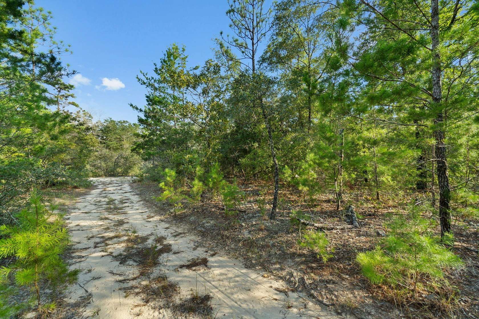 1.16 Acres of Residential Land for Sale in DeFuniak Springs, Florida