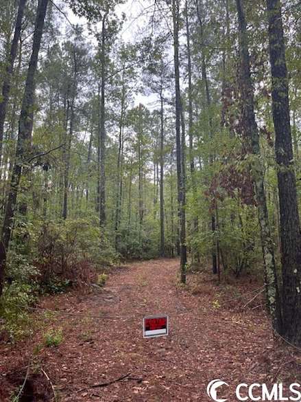 92.5 Acres of Recreational Land for Sale in Hemingway, South Carolina