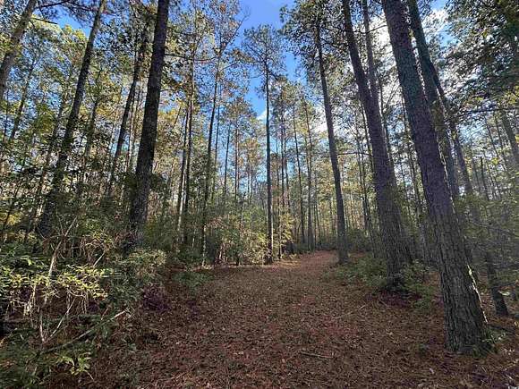 92.5 Acres of Recreational Land for Sale in Hemingway, South Carolina