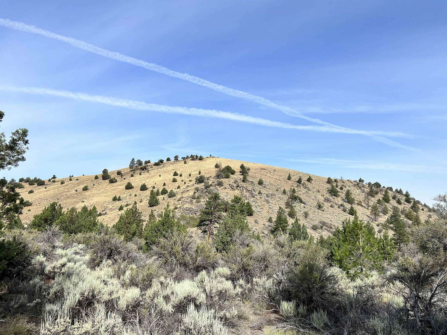 319 Acres of Agricultural Land for Sale in Weed, California